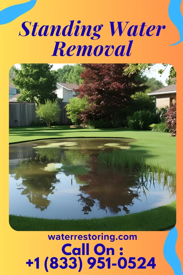 Standing Water Removal in Black, AL